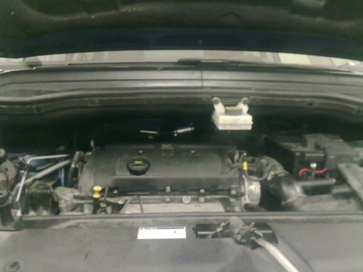 Citroen C4.jpg