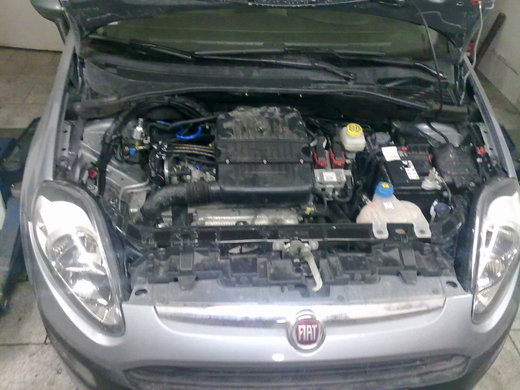 Fiat Punto (3).jpg