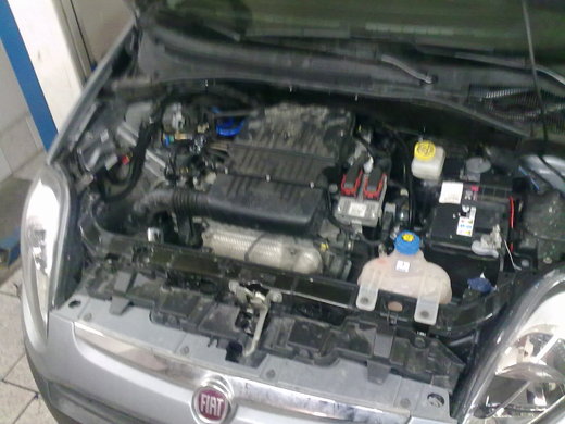 Fiat Punto (4).jpg
