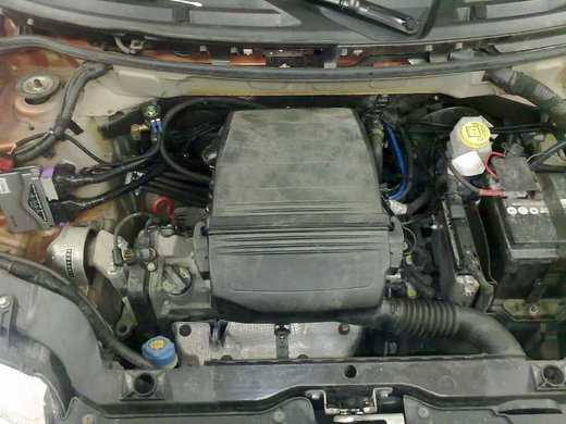 Fiat Punto.jpg