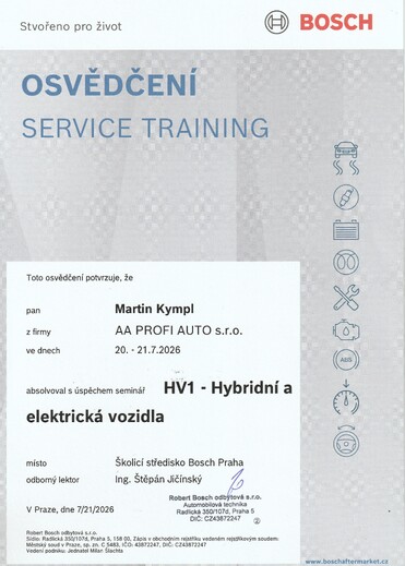 Servis elektrických vozidel
