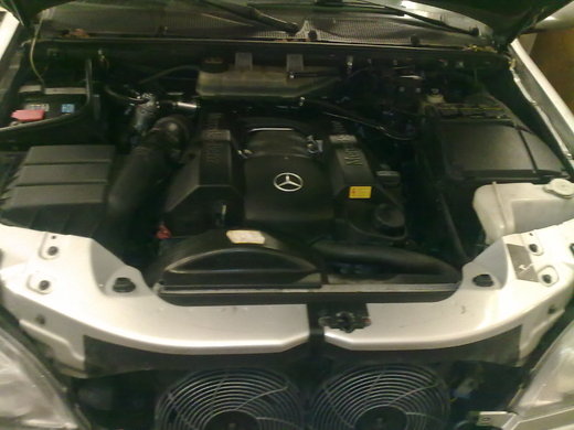 Mercedes ML (2).jpg
