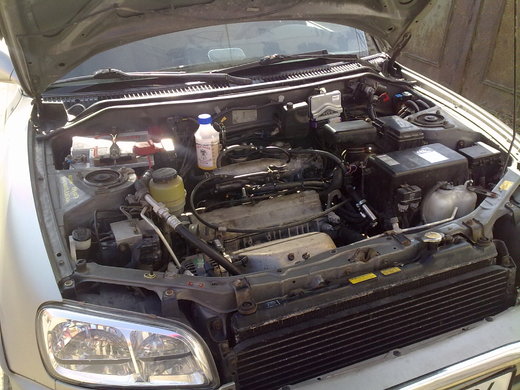 Toyota RAV (3).jpg